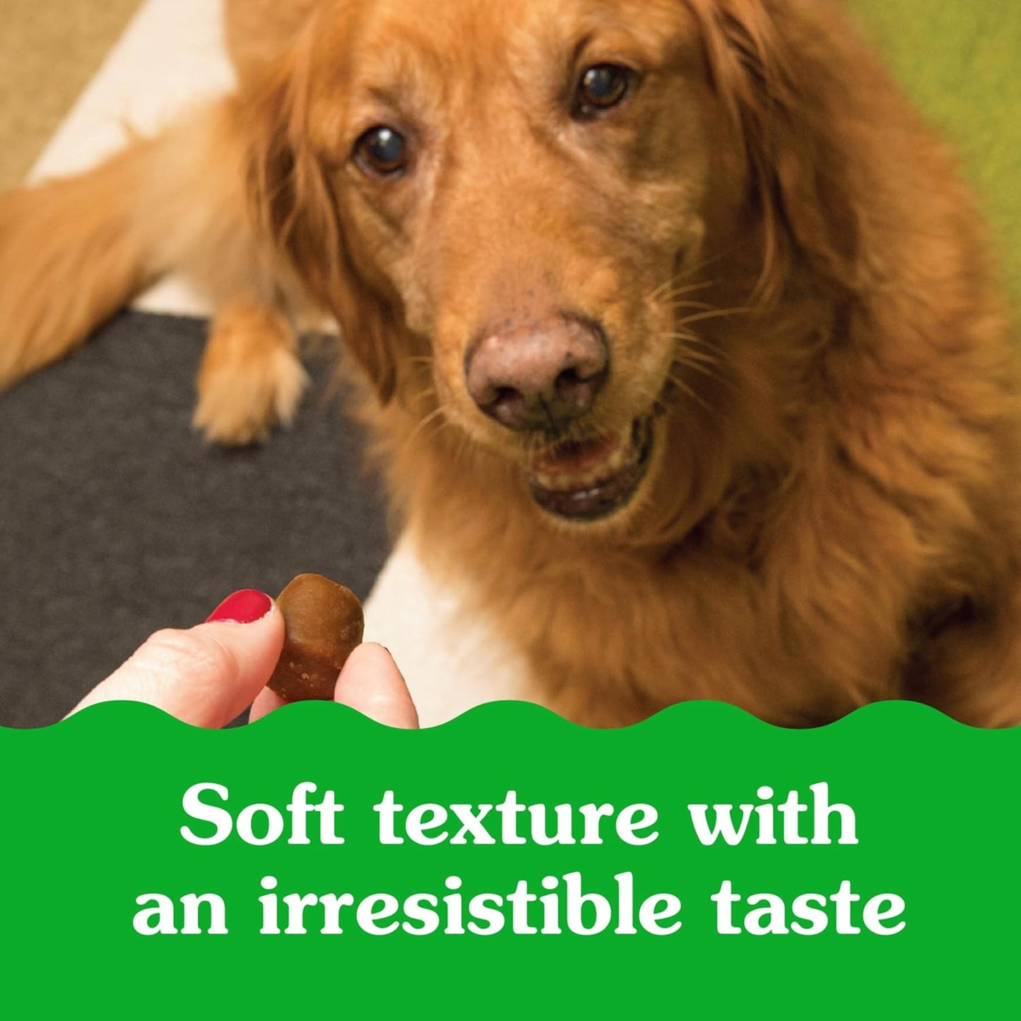 Pill Pockets for Dogs Large Size, Soft Dog Treats, Cheese Flavor, 15.8 Oz. Pouch (60 Treats)