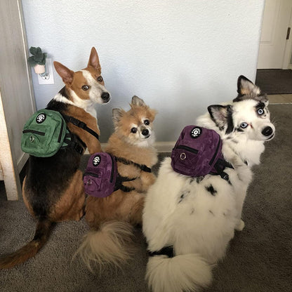 Dog Backpack Harness with Leash, Dog Poop Bag Dispenser, Pet Self Carrier Adjustable Travel Hiking Walking Harness Backpack for Small Medium Dogs (L(Fit:10-15Lb), Purple)