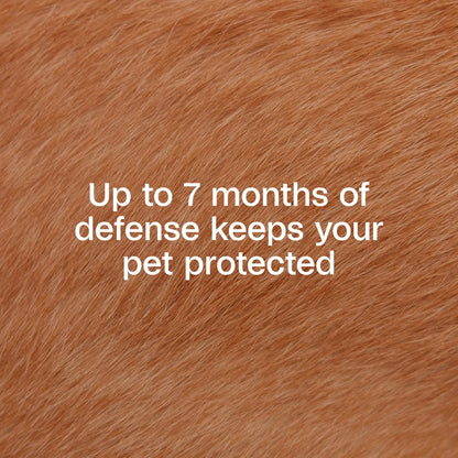 Flea & Tick Control Collar for Dogs, 7-Month Protection, Adjustable Collar Fits Dogs & Puppies, Kills Fleas & Ticks