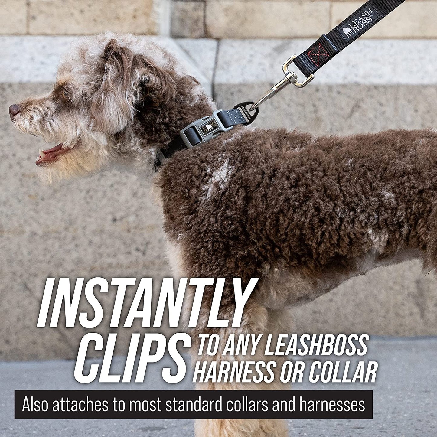 Long Trainer - 1 Inch Nylon Long Dog Training Leash with Storage Strap (50 Ft, Black)