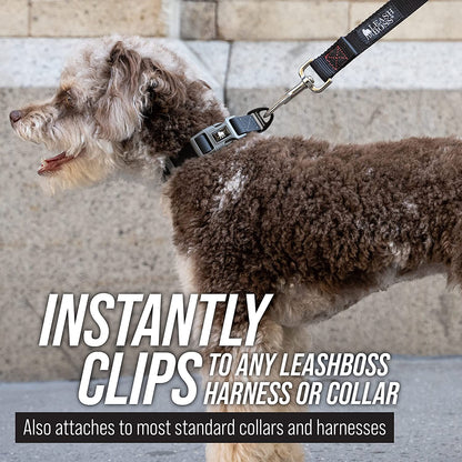 Long Trainer - 1 Inch Nylon Long Dog Training Leash with Storage Strap (50 Ft, Black)