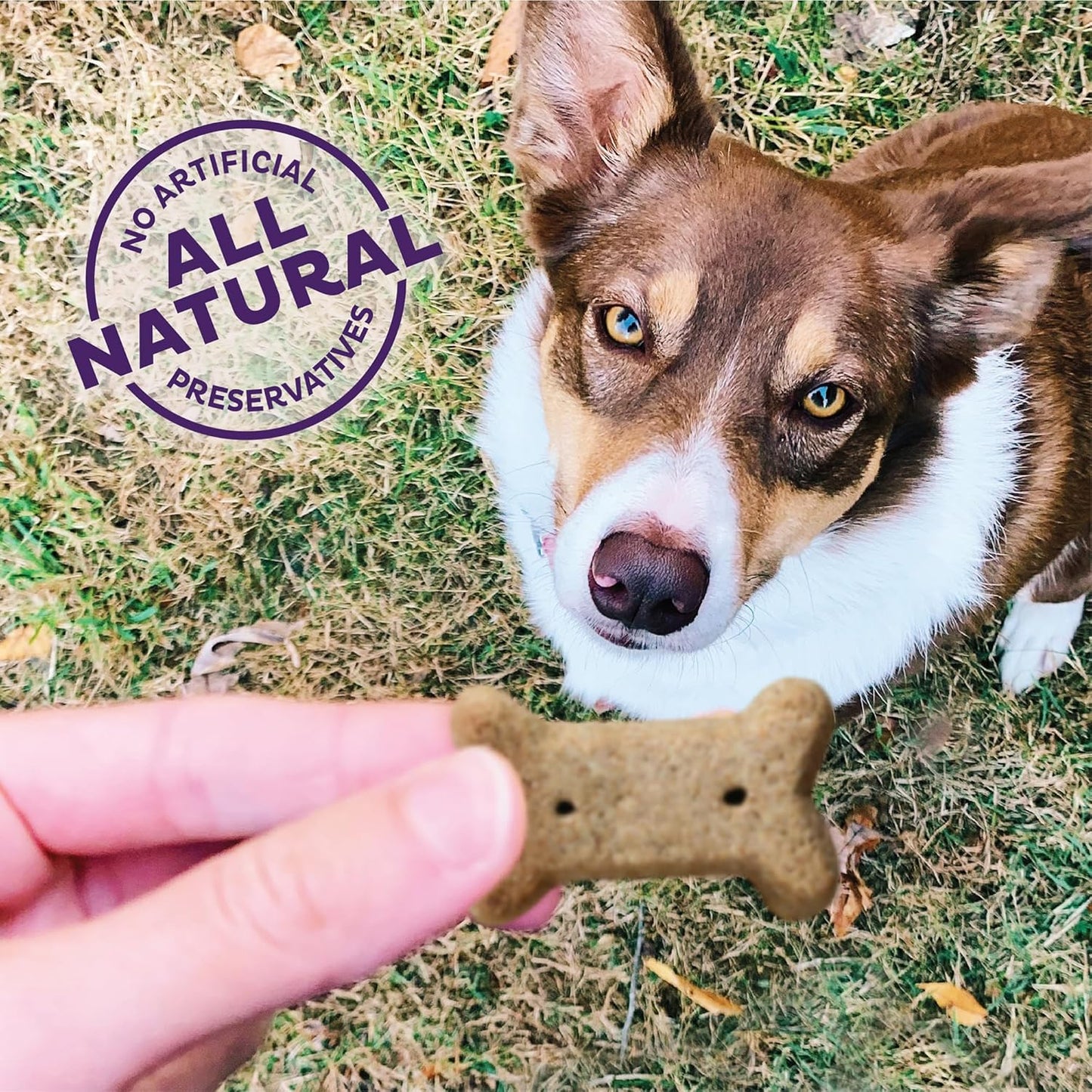 Wellness Original Mix Dog Biscuits, Natural, Training Treats, Four Flavors, Small Size, (3.8 Pound Bag)