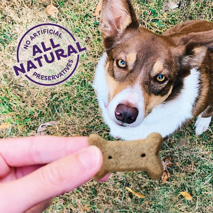 Wellness Original Mix Dog Biscuits, Natural, Training Treats, Four Flavors, Small Size, (3.8 Pound Bag)