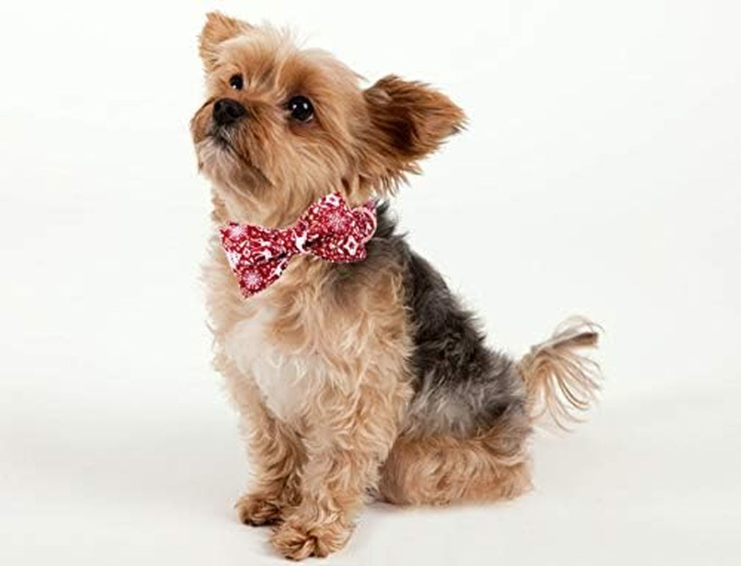 Dog Collar Bowtie, Dog Collar with Bow, Adjustable Collars for Dogs Small Medium Large (X-Large)