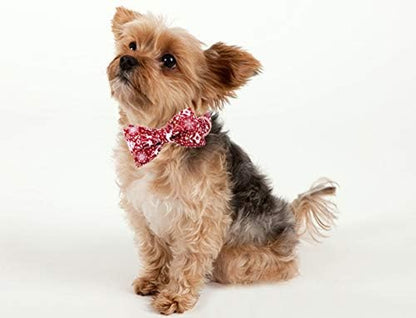 Dog Collar Bowtie, Dog Collar with Bow, Adjustable Collars for Dogs Small Medium Large (X-Large)