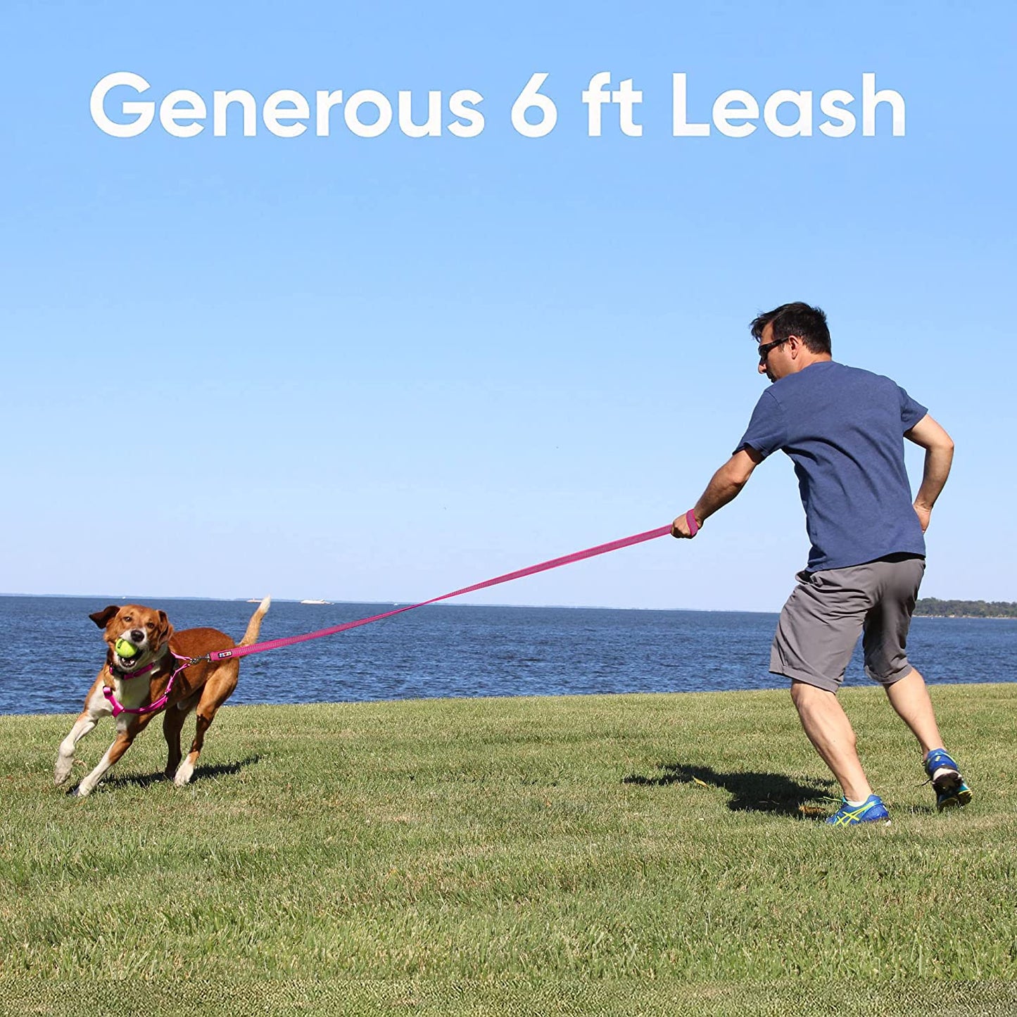 Pet Leash - Comfortable Heavy Duty Reflective Dog Leash | 6 Foot Orange, Highly Visible Threads
