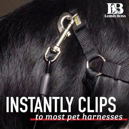 Dog Car Seat Belt Restraint - No-Chew Heavy Duty Car Seatbelt for Pets - 5 Sizes - Coated Steel Rope to Prevent Chewing (16 In) - Restraints for Dogs in Cars - Dog Seat Belt for Car