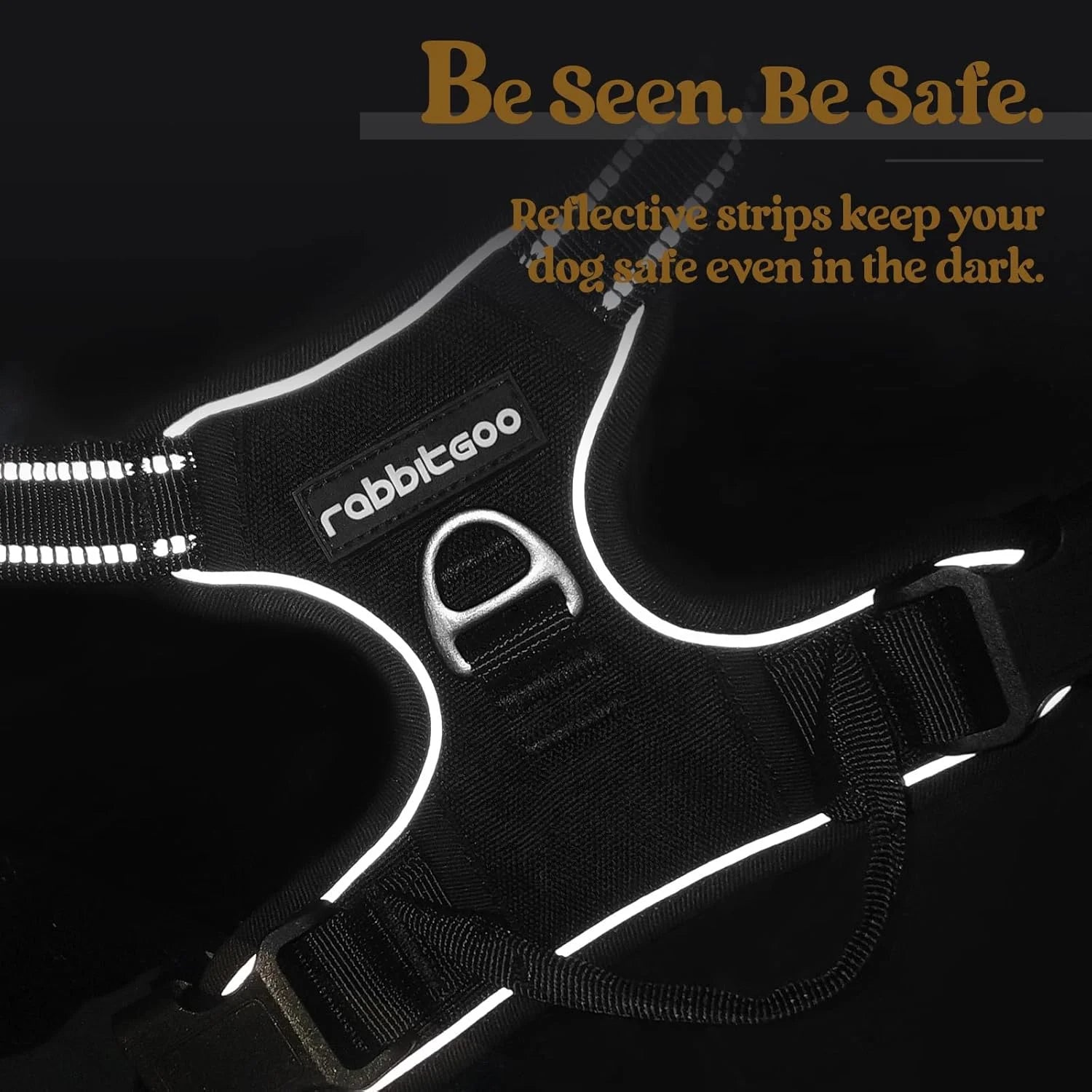 Reflective Dog Harness, No-Pull Pet with 2 Leash Clips,