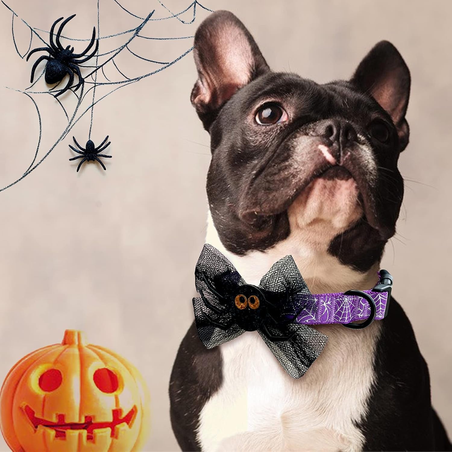 Halloween Dog Collars with Bow Cute Sequined Spider Purple Dog Collar with Lace Bow Tie Gifts on Halloween for Large Dogs