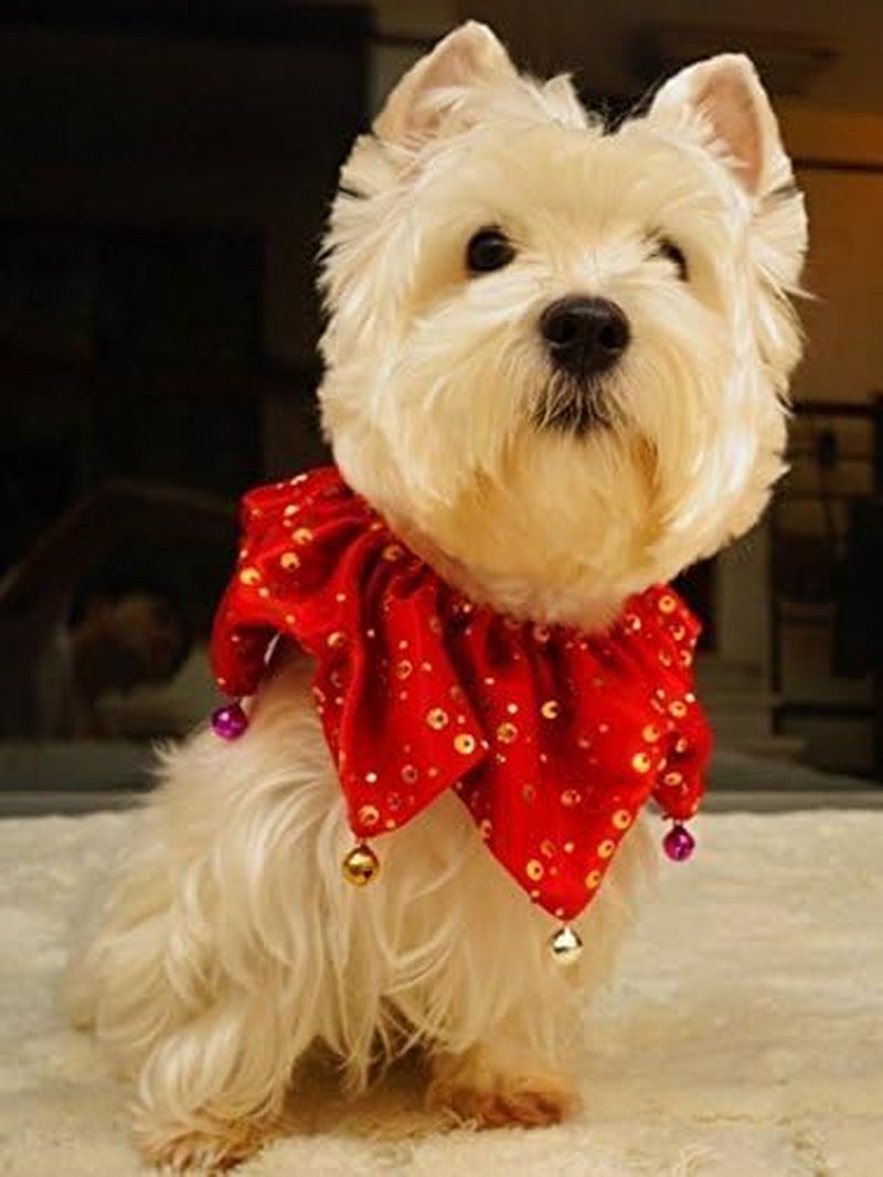 Bling Pet Dog Christmas Collar, Jingle Bell Dog Collar Christmas, Pet Holiday Accessories XMS Dog Bandana for Girl Boy with Six Bells, Large Red