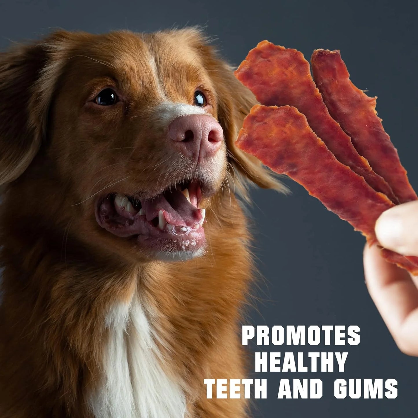 Dog Treats Duck Jerky 1.5 LB - Human Grade Pet Snacks - Natural High Protein Meat Dried Strips - Best Chews for Training Small & Large Dogs - Bulk Soft Pack