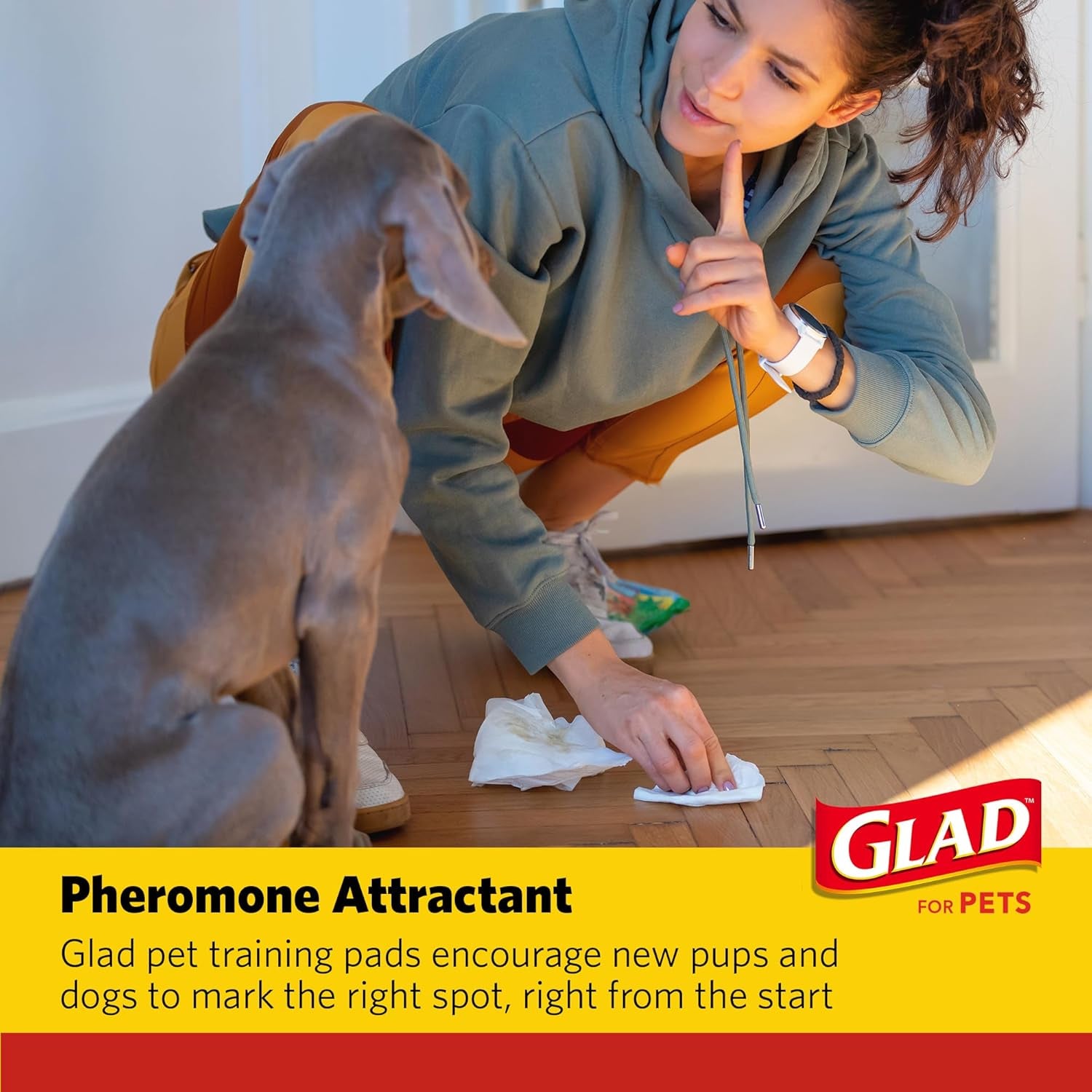 for Pets Extra Large Charcoal Dog Training Pads - Absorbent Disposable Pee Pads for Dogs, Cats & Puppies - Jumbo-Size Potty Pads That Neutralize Urine Instantly - 30 Count Pet Supplies