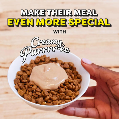 Creamy Puree Squeezable Lickable Wet Cat Treats with Salmon, 0.42 Oz. Tubes, 24 Count