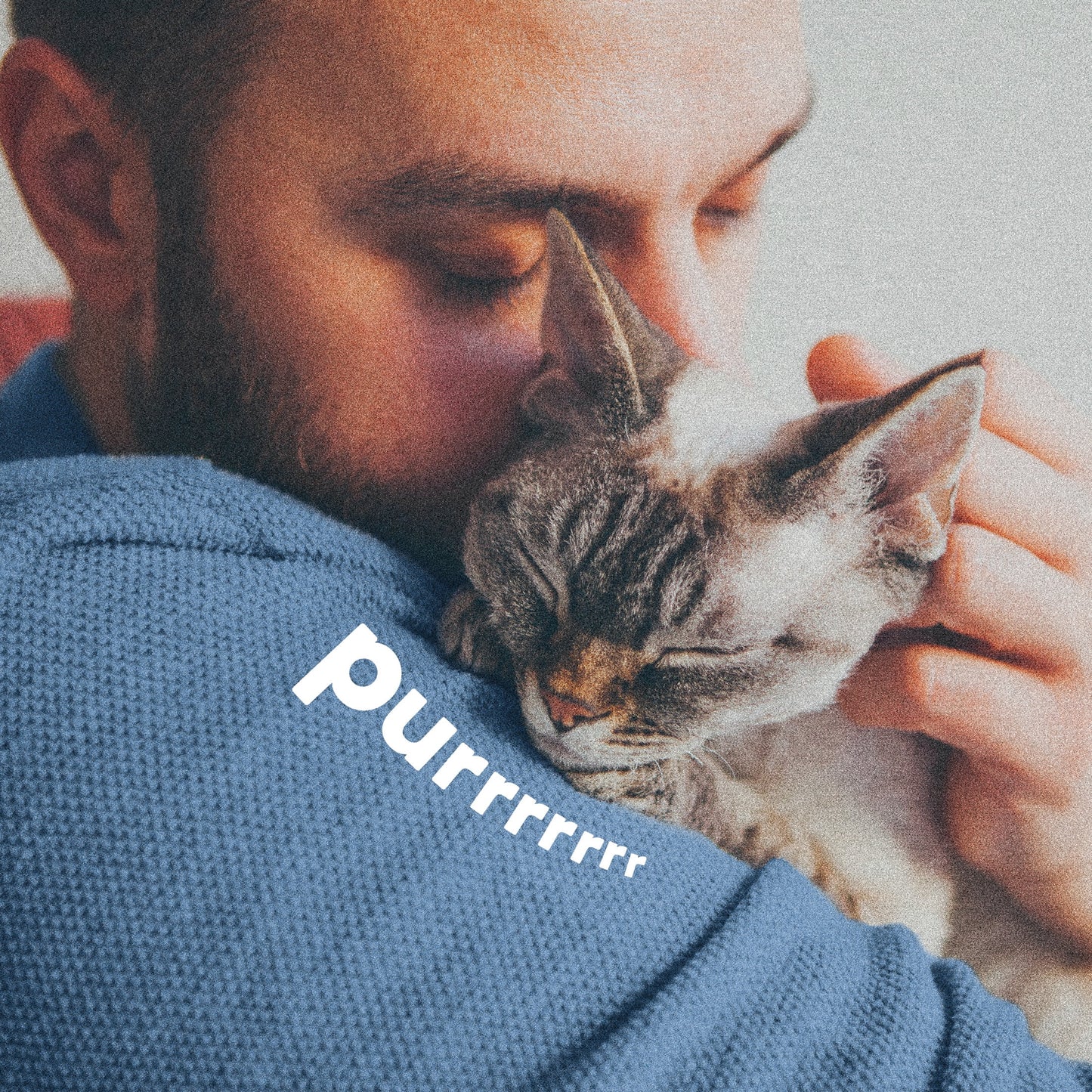 plus Flea & Tick Foaming Shampoo & Wash for Cats & Kittens over 12 Weeks, Sensitive Skin Flea Treatment for Cats & Kittens, Kills Adult Fleas, Ticks and Lice on Contact, 10 Ounces