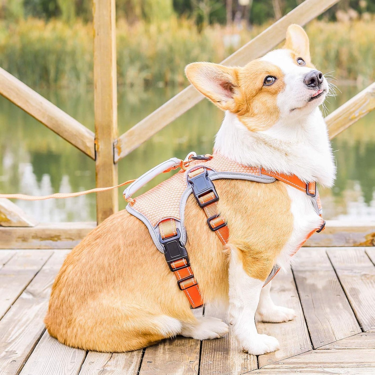 Multi-Use Support Dog Harness, Escape Proof No Pull Reflective Adjustable Vest with Durable Handle, Dog Walking Harness for Big/Active Dogs (Orange, XL)
