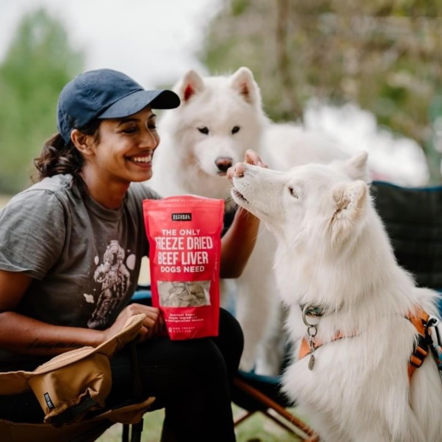 Beef Liver Dog Treats - the Only Freeze Dried Beef Liver Dogs Need - Grain-Free Beef Bites, Dog Treats for Small and Large Dogs (8 Oz.)