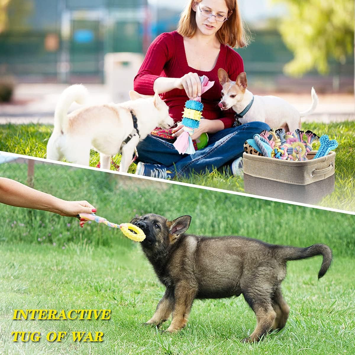 Puppy Chew Toys for Teething Puppy Teeth Cleaning, Interactive Tug Toys & Storage Basket