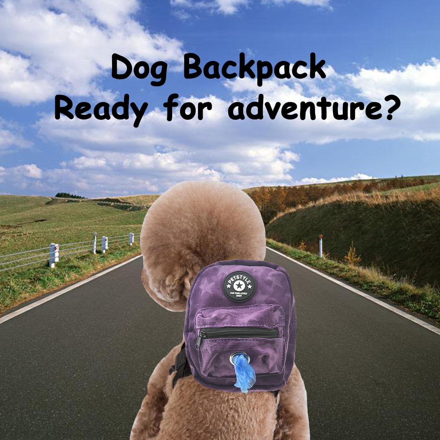 Dog Backpack Harness with Leash, Dog Poop Bag Dispenser, Pet Self Carrier Adjustable Travel Hiking Walking Harness Backpack for Small Medium Dogs (L(Fit:10-15Lb), Purple)