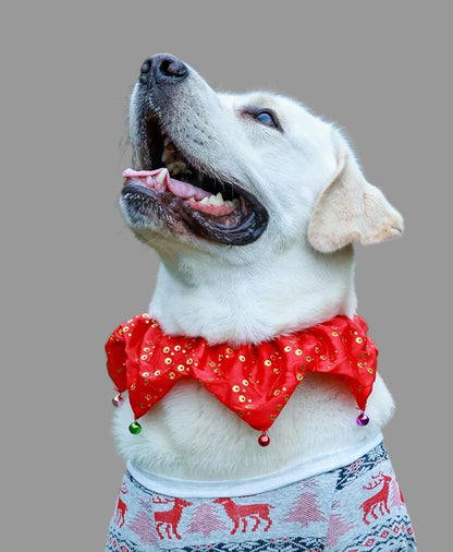 Bling Pet Dog Christmas Collar, Jingle Bell Dog Collar Christmas, Pet Holiday Accessories XMS Dog Bandana for Girl Boy with Six Bells, Large Red